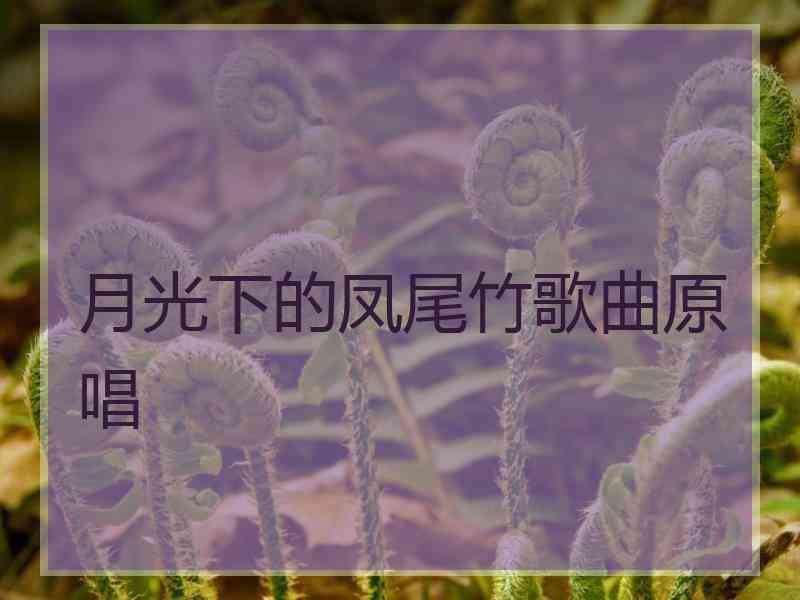 月光下的凤尾竹歌曲原唱