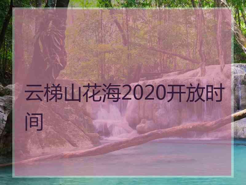 云梯山花海2020开放时间