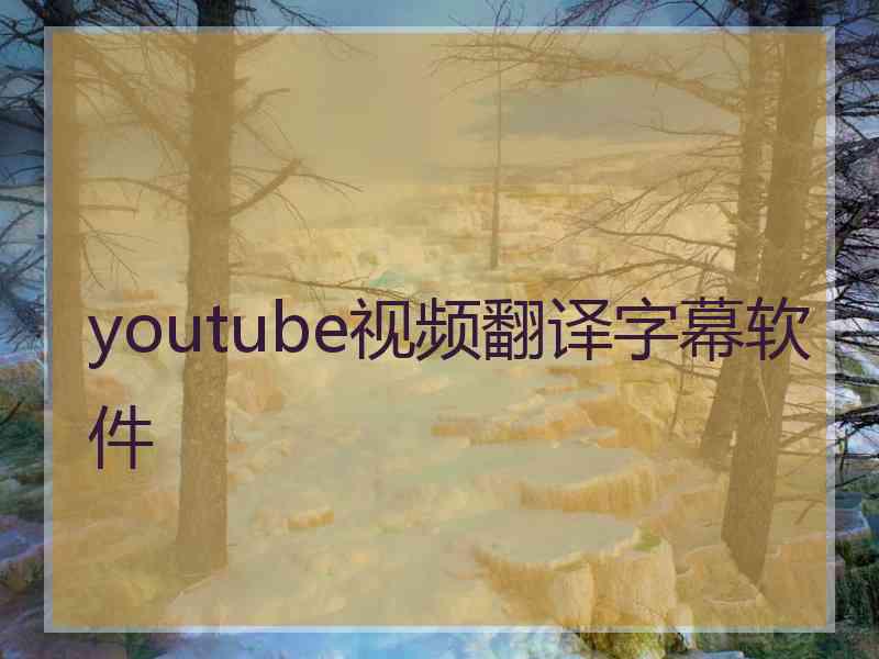 youtube视频翻译字幕软件