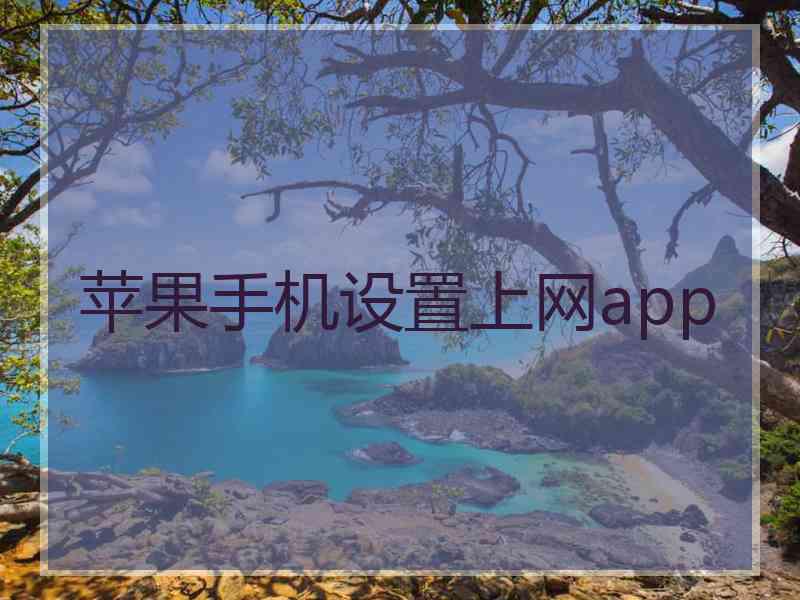 苹果手机设置上网app