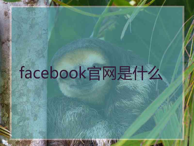 facebook官网是什么