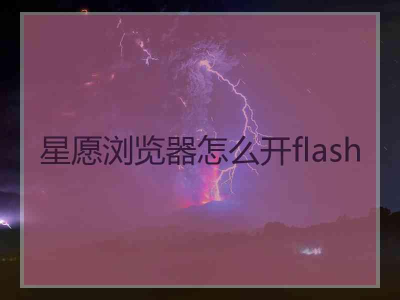 星愿浏览器怎么开flash