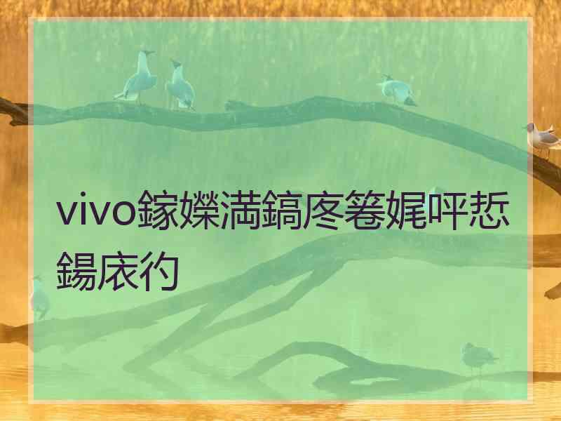 vivo鎵嬫満鎬庝箞娓呯悊鍚庡彴