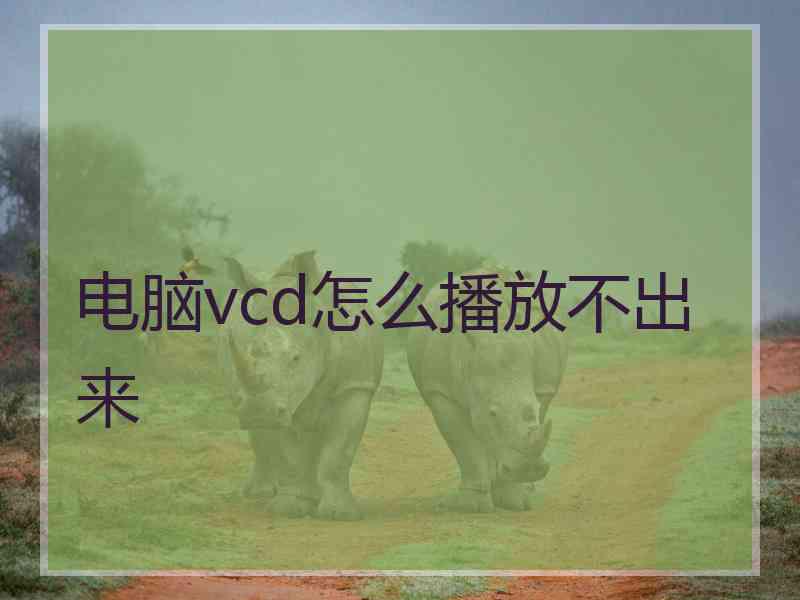 电脑vcd怎么播放不出来