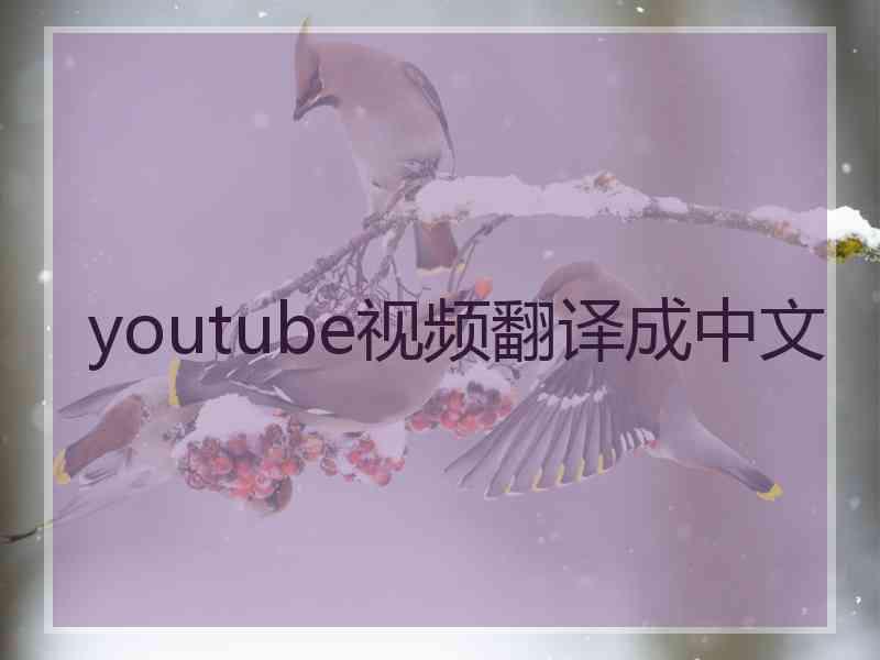 youtube视频翻译成中文