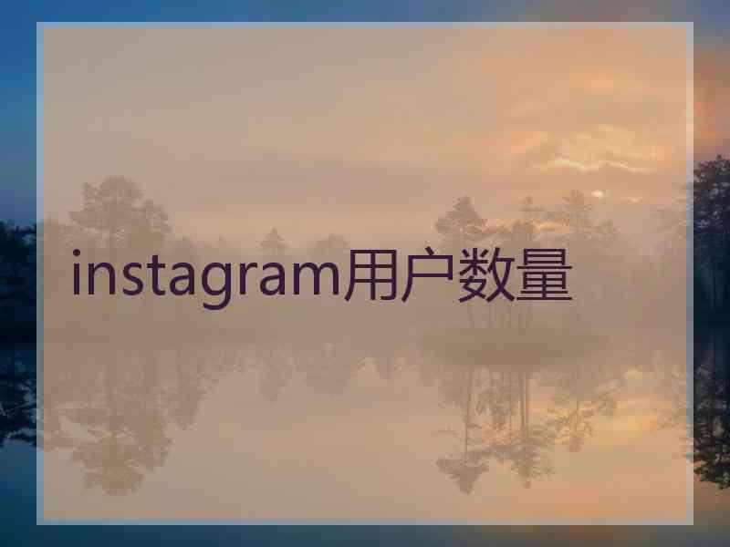 instagram用户数量