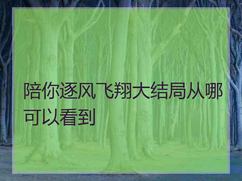 陪你逐风飞翔大结局从哪可以看到