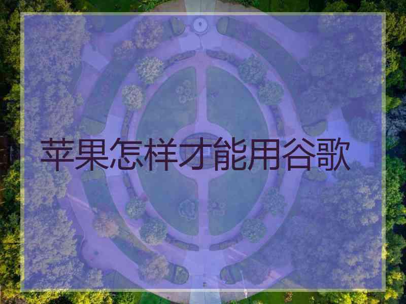 苹果怎样才能用谷歌