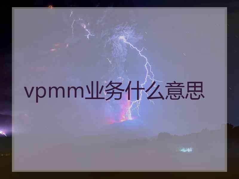 vpmm业务什么意思