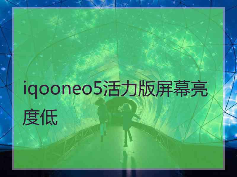 iqooneo5活力版屏幕亮度低