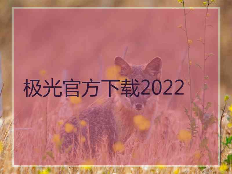 极光官方下载2022