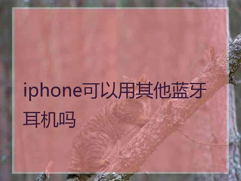 iphone可以用其他蓝牙耳机吗