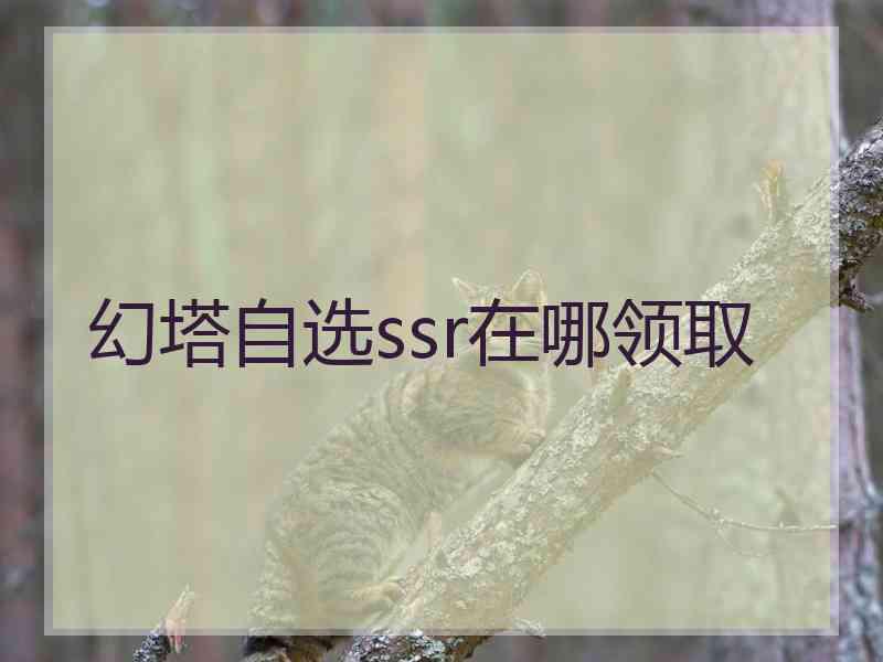 幻塔自选ssr在哪领取