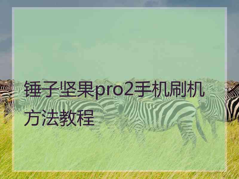 锤子坚果pro2手机刷机方法教程