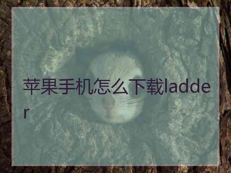 苹果手机怎么下载ladder