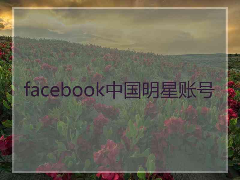 facebook中国明星账号