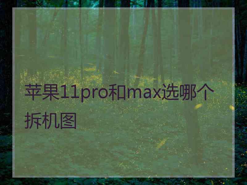 苹果11pro和max选哪个拆机图