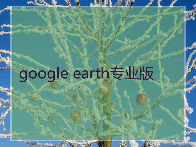 google earth专业版