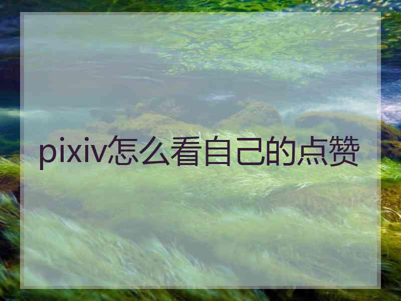 pixiv怎么看自己的点赞