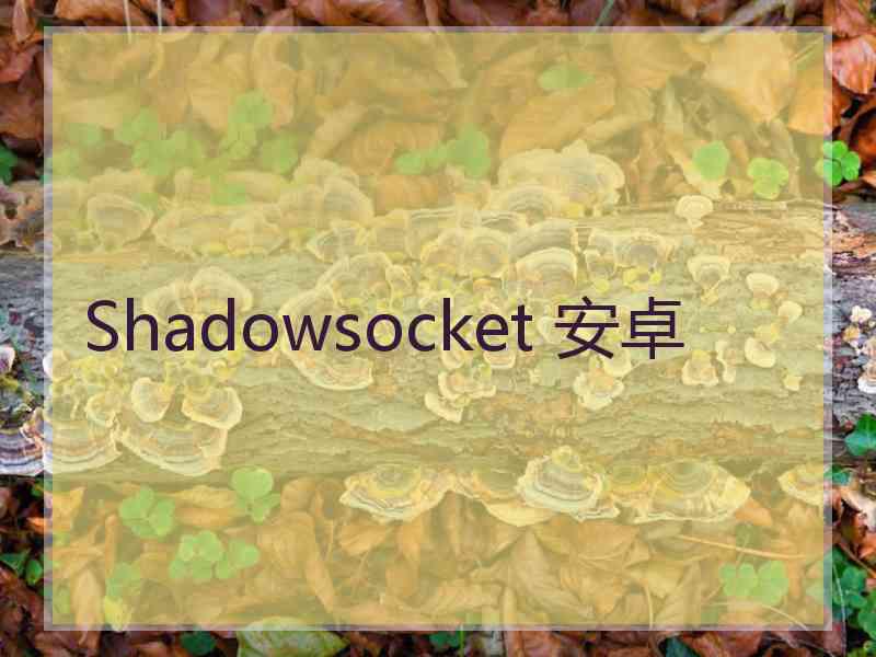 Shadowsocket 安卓