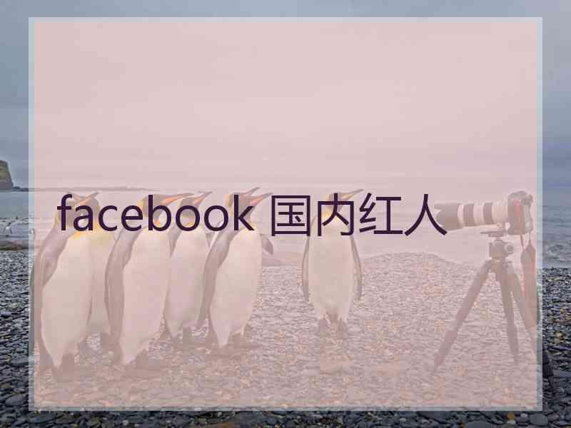 facebook 国内红人