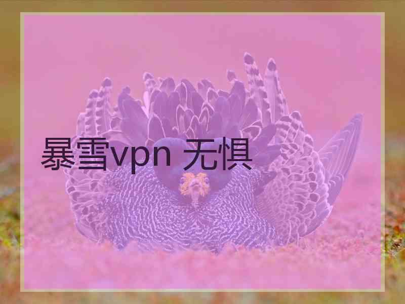 暴雪vpn 无惧