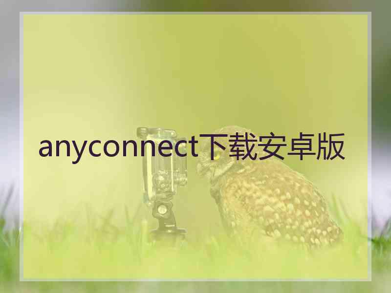 anyconnect下载安卓版