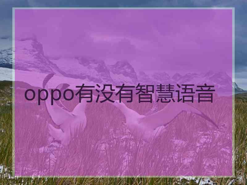 oppo有没有智慧语音