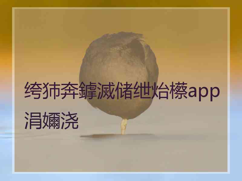 绔犻奔鎼滅储绁炲櫒app涓嬭浇