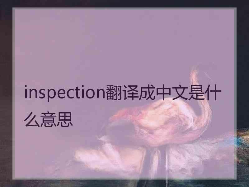 inspection翻译成中文是什么意思