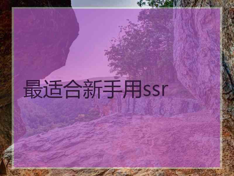 最适合新手用ssr