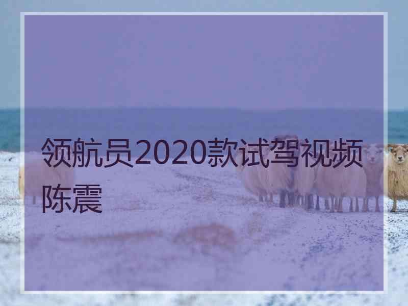 领航员2020款试驾视频陈震