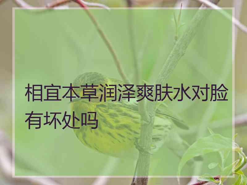 相宜本草润泽爽肤水对脸有坏处吗