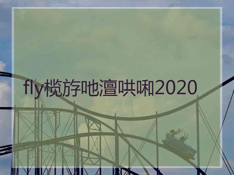 fly榄斿吔澶哄啝2020