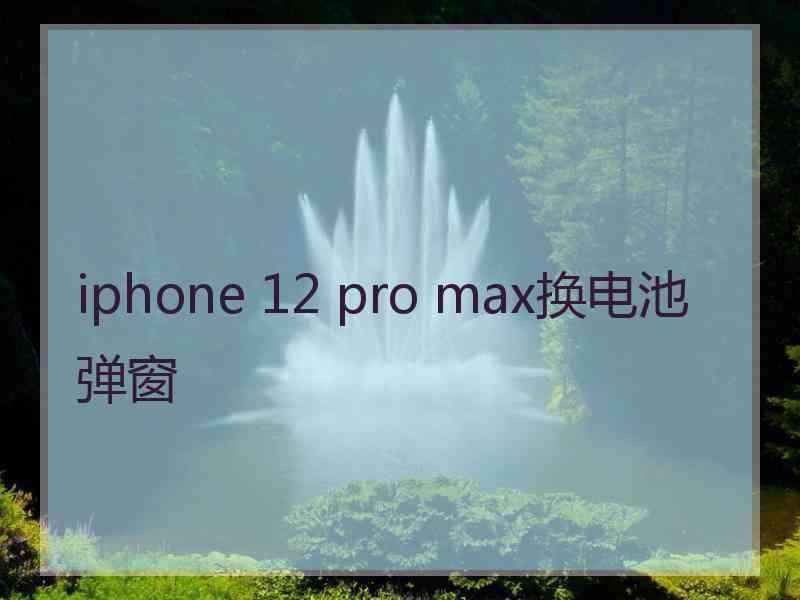 iphone 12 pro max换电池弹窗