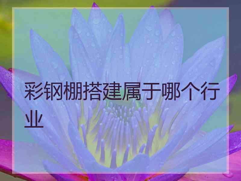 彩钢棚搭建属于哪个行业