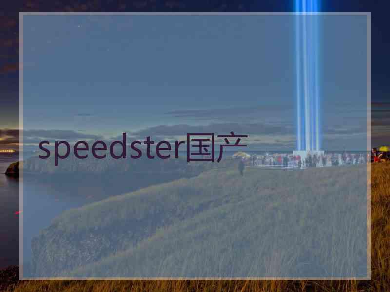 speedster国产