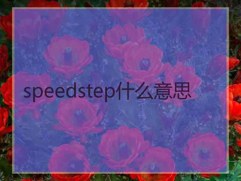 speedstep什么意思