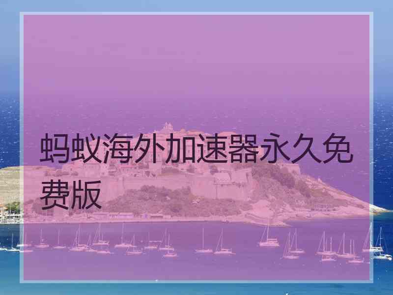 蚂蚁海外加速器永久免费版