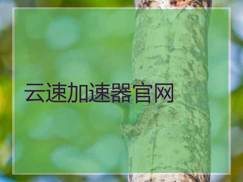 云速加速器官网