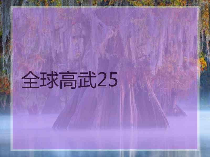 全球高武25