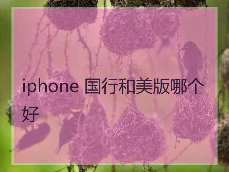 iphone 国行和美版哪个好