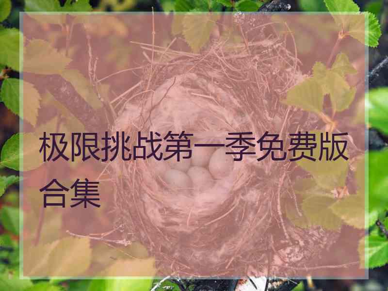 极限挑战第一季免费版合集