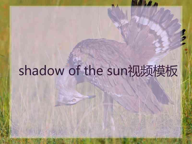 shadow of the sun视频模板