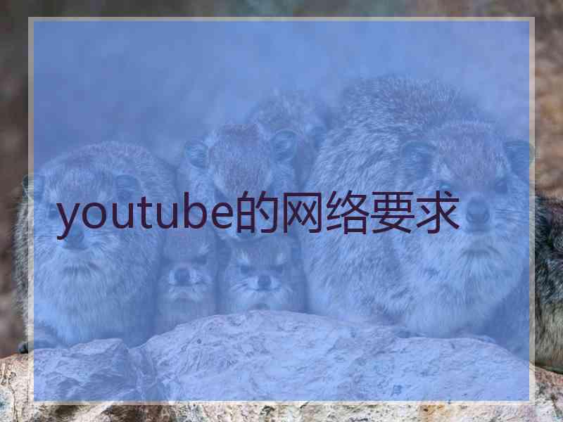 youtube的网络要求