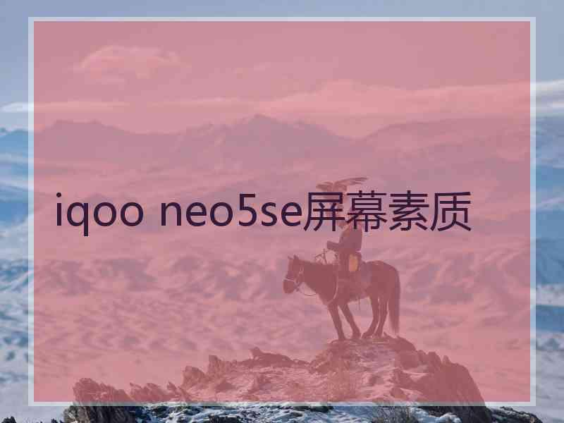 iqoo neo5se屏幕素质