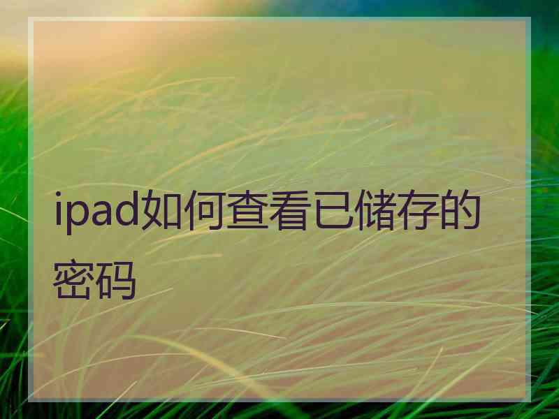 ipad如何查看已储存的密码