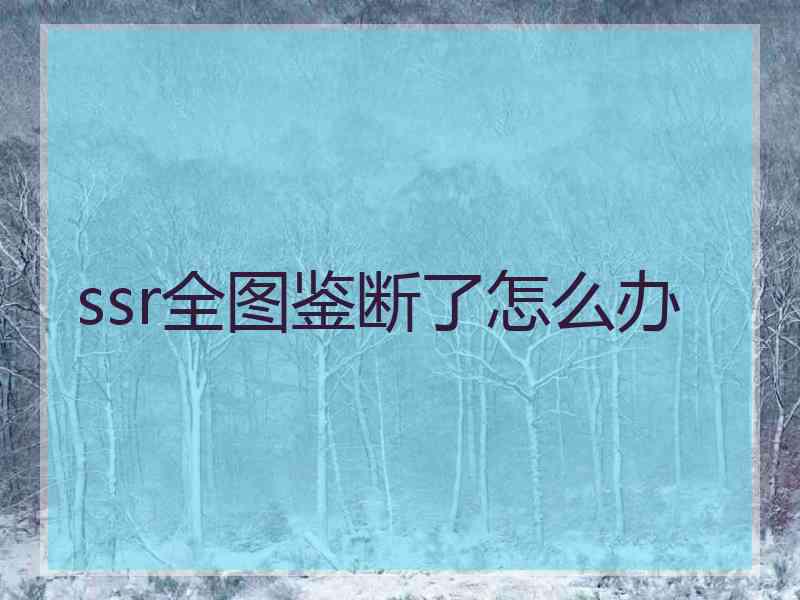 ssr全图鉴断了怎么办