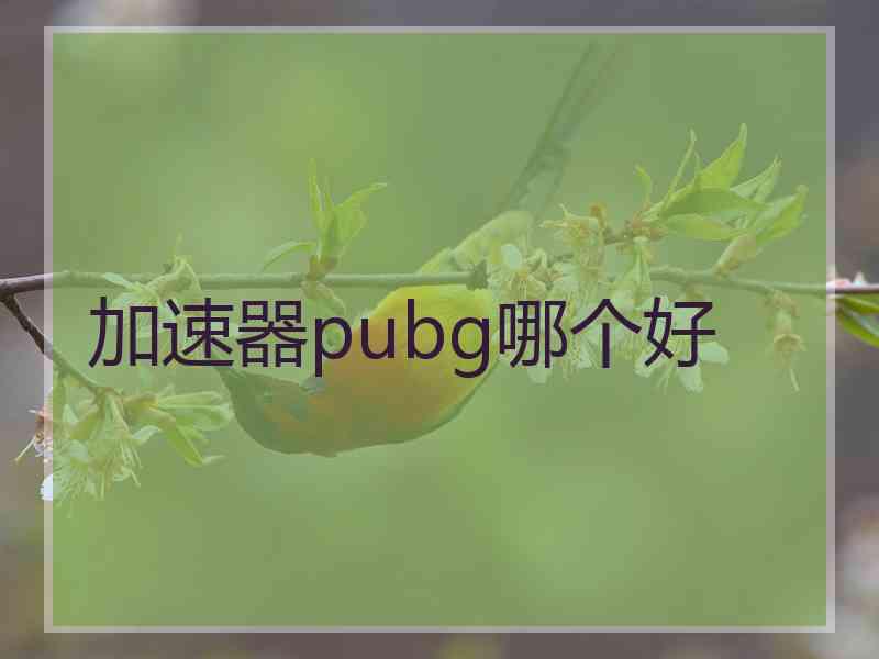 加速器pubg哪个好