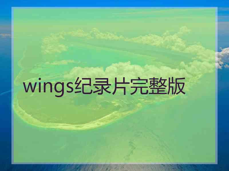 wings纪录片完整版